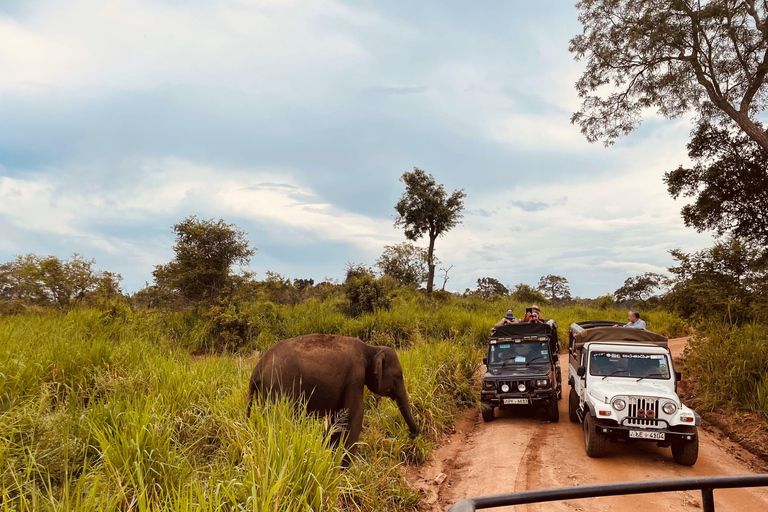 3-Day Sigiriya Tour: Village Experience & Elephant Safari