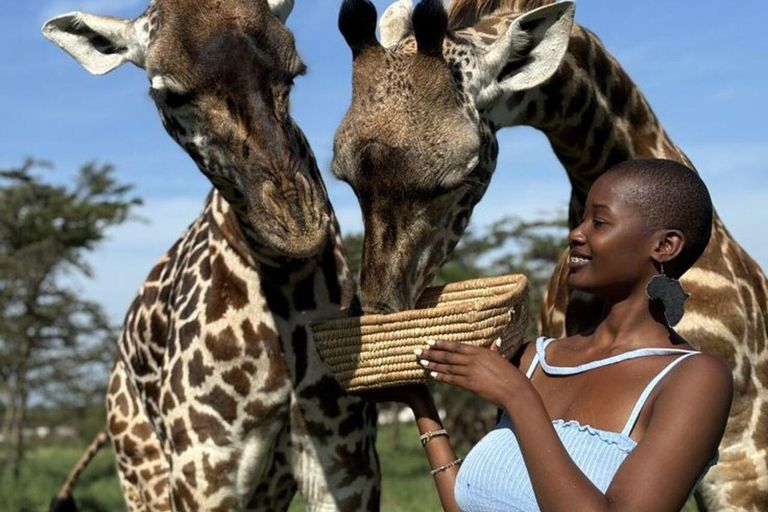 ZANZIBAR: Zakir Wildlife Park Feeding Giraffes, Zebra & More THIS OPTION FOR GUESTS STAYING FAR FROM SOUTH COAST AREAS