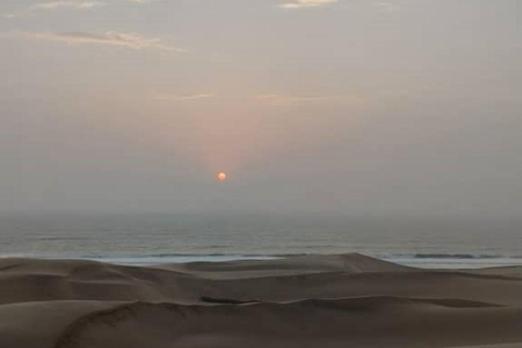 Walvis Bay: Obserwacja ptaków i wycieczka fotograficzna