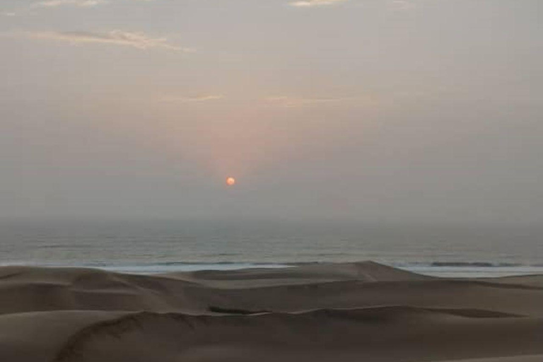 Walvis Bay: Excursión de Observación de Aves y Fotografía