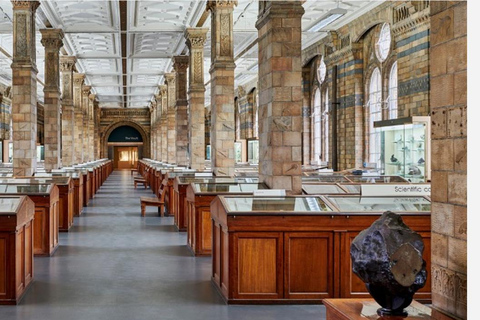 London: Natural History Museum Guided Tour