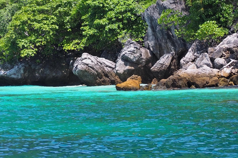 Från phi phi island Exklusiv Long Tail-upplevelse för 4 timmar