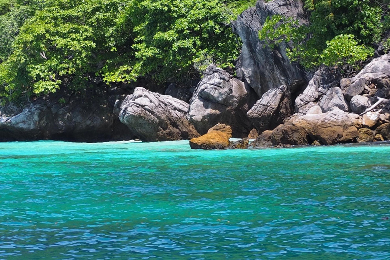 isola di phi phi : Barca lunga privata con snorkeling