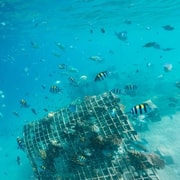 Lombok: Gili Nanggu Snorkeling & 3-Island Hopping Tour