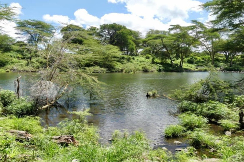 Mombasa: Tsavo West & Amboseli 3-Day Safari Tour