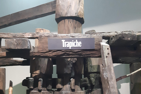 Punta Cana: Viagem Privada de Meio Dia Cultural com Sabores DominicanosPunta Cana: viagem cultural privada de meio dia pelos sabores dominicanos