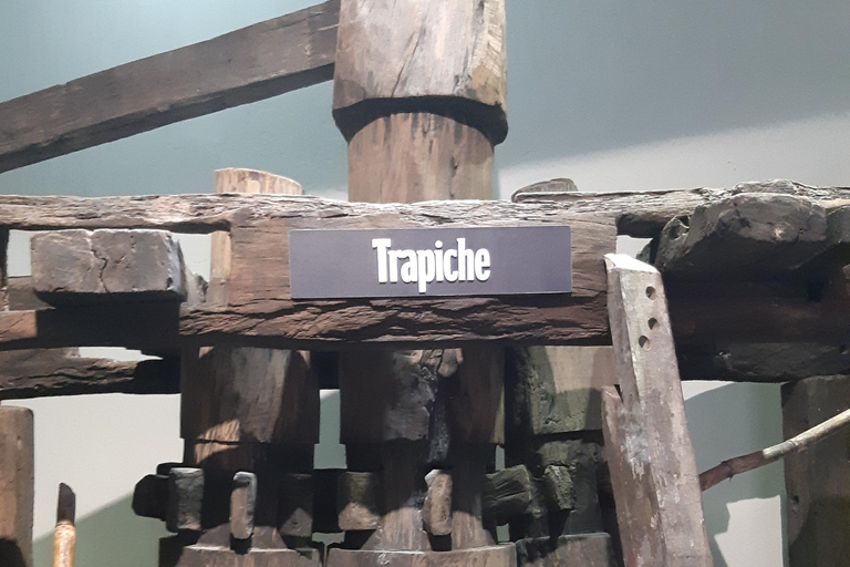 Punta Cana: Viagem Privada de Meio Dia Cultural com Sabores DominicanosPunta Cana: viagem cultural privada de meio dia pelos sabores dominicanos