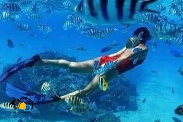 Zanzibar: Mnemba Dolphins &amp; Sunset Dhow Cruise with Lunch