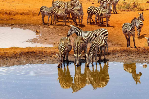 Nairobi: 3-Day Amboseli National Park Safari