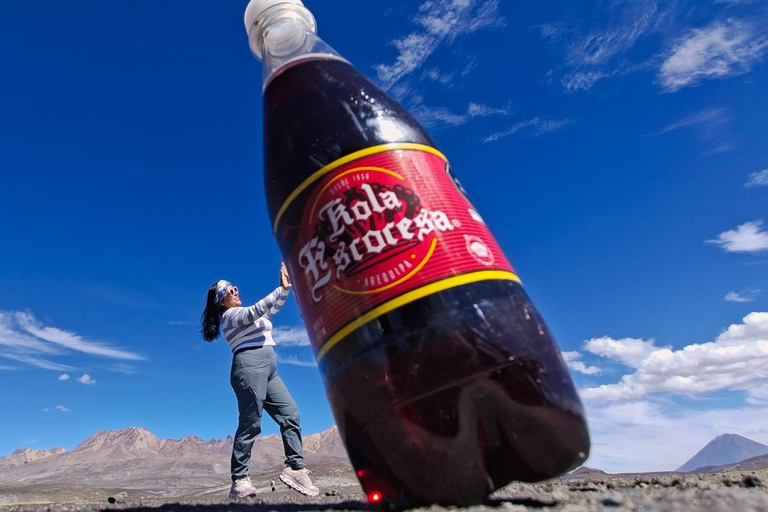 Arequipa: Salinas Lagoon, Flamingos, Vicuñas & ATV Adventure