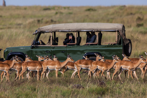 From Zanzibar: 1-Day Selous Safari with Flight & Lunch Selous Safari from Zanzibar – Without Transfer