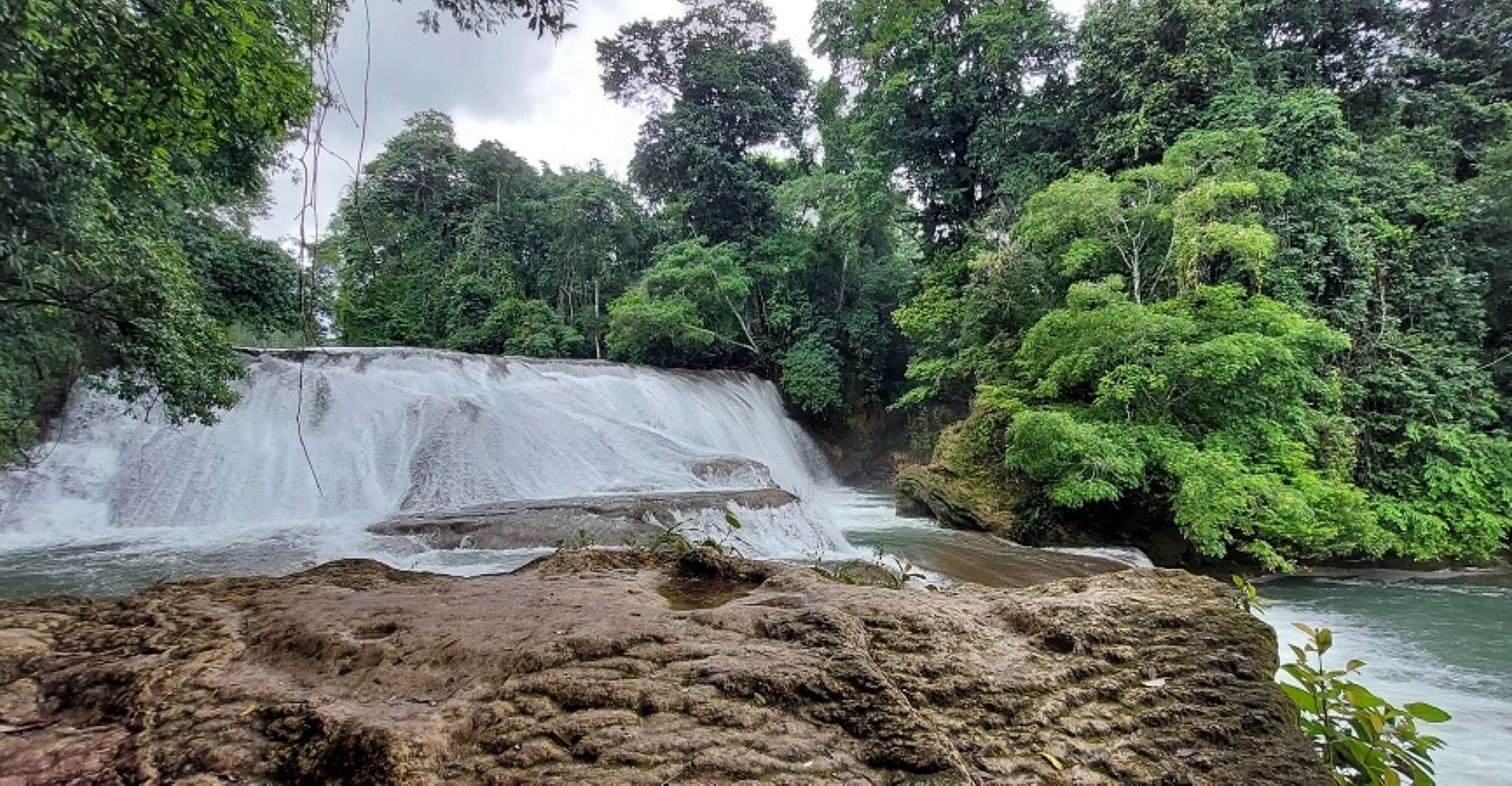 From Palenque, Roberto Barrios and El Salto Waterfalls Tour - Housity