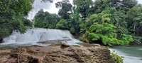 From Palenque, Roberto Barrios and El Salto Waterfalls Tour - Housity