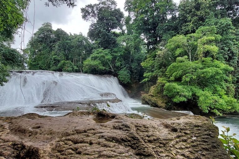 Från Palenque: Roberto Barrios och El Salto vattenfallstur