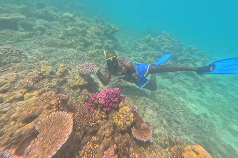 Vanuatu: Tanna Coffee Factory Tour and Pele Island Trip