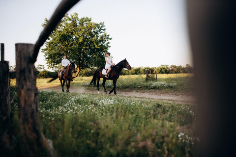Bordeaux: Vineyard Horse Ride with Château Wine Tastings