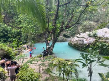 Cebu: Walhai, Inambakan Wasserfälle & Moalboal Sardinen Tour