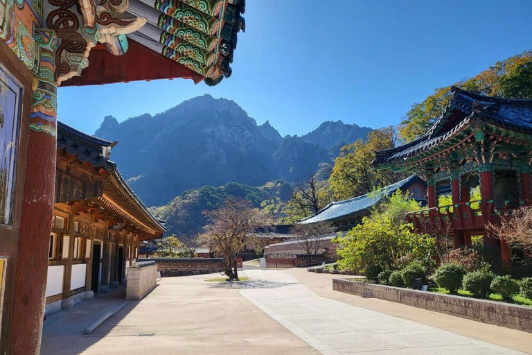 Seoul: Seoraksan & Nami island & Korean Garden Tour [Winter wonder] Seoraksan+Nami island+ Eobi Ice Valley