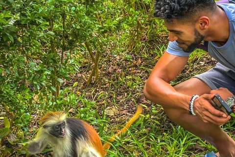 ZANZIBAR: Stone Town, Prison Island och Jozani Forest Tour