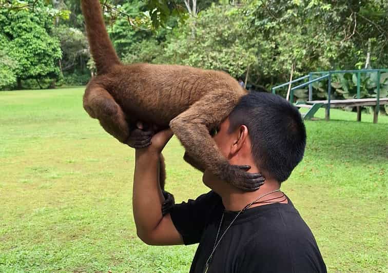 Iquitos Full Day Visit to the authentic Monkey Island GetYourGuide