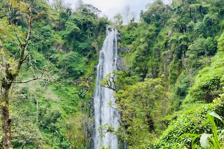Moshi: Waterfall's and Hot Springs 2-Day Tour