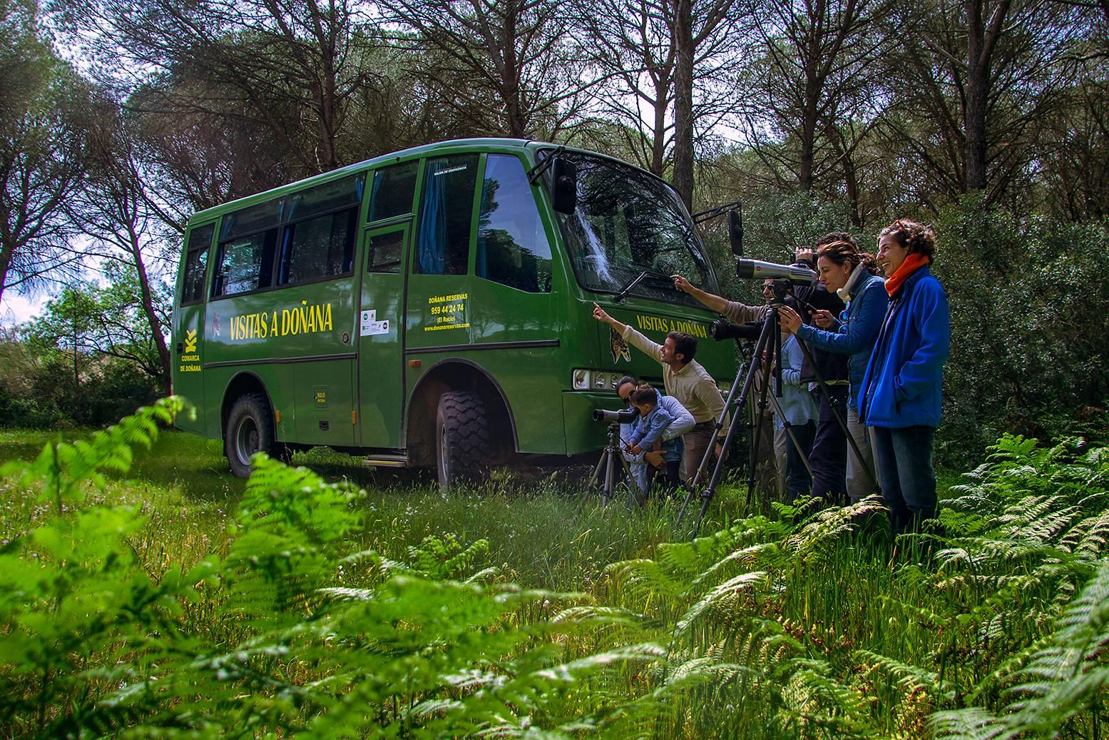 Ab El Rocío: Doñana-Nationalpark Geländewagentour mit Guide