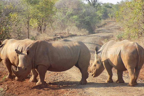 Nairobi: Ol Pejeta Day Tour from Nairobi