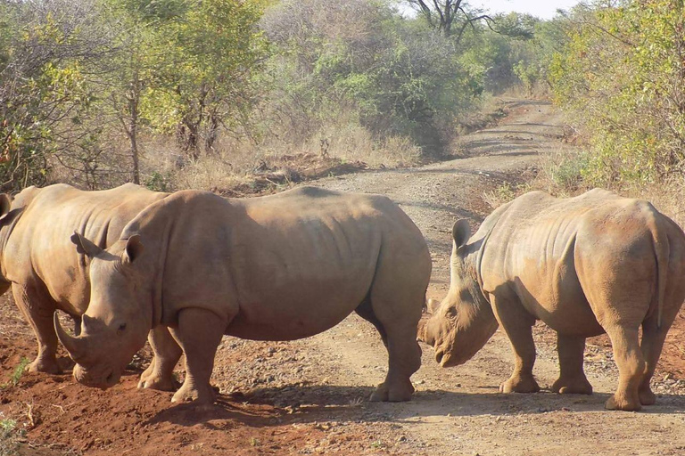 Nairobi: Ol Pejeta Day Tour from Nairobi