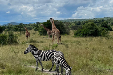 Kigali: 2-daagse safari in Akagera National Park met boottochtKigali: 2-daagse safari in het Akagera National Park met boottocht