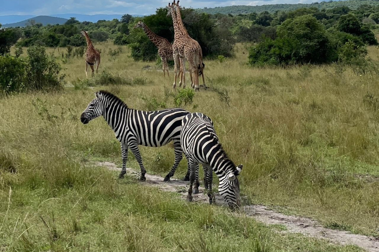 Kigali: 2-daagse safari in Akagera National Park met boottochtKigali: 2-daagse safari in het Akagera National Park met boottocht