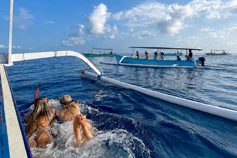 Lovina: Dolphin Observe & Snorkeling with Optional GoPro Sharing Dolphin Tour With GoPro, Transfer Hotel North Area