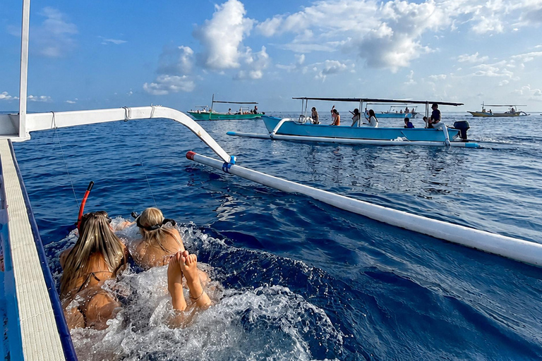Lovina: Dolphin Observe & Snorkeling with Optional GoPro Sharing Dolphin Tour With GoPro, Transfer Hotel North Area