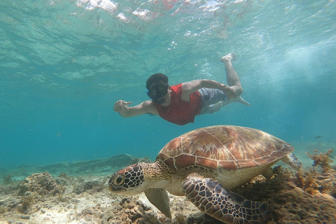 Cebu: Pescador eiland, Sardines rennen en Kawasan CanyoneeringCebu: Moalboal eilandhoppen en Kawasan Canyoneering