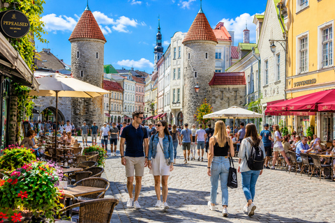 Luxury Day Trip to Tallinn with Lounge Access, Lavish Buffet