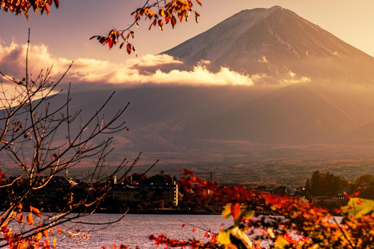 From Tokyo: Mount Fuji Private Tour With Photography & Guide