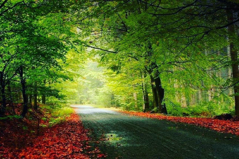 All Inclusive 2 Days Quba Khinalug Private Tour