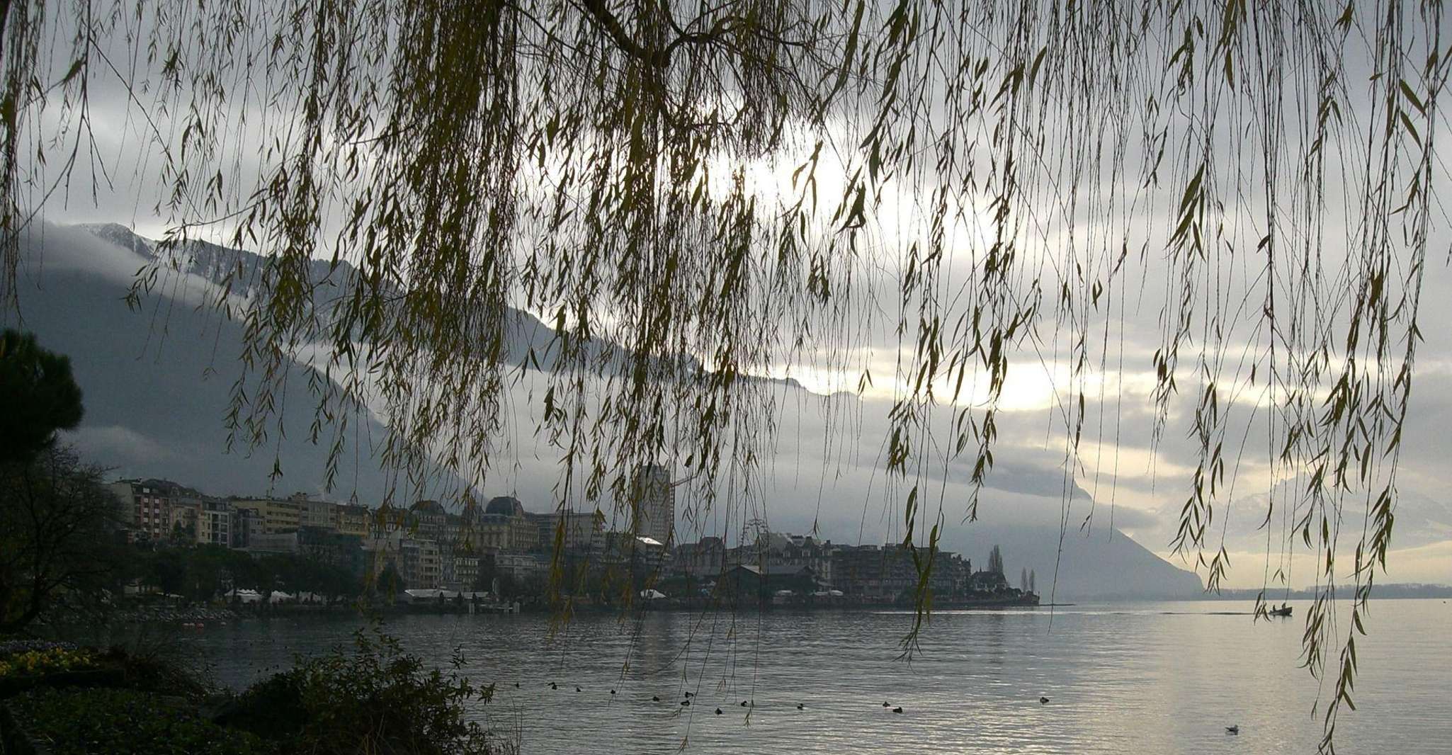 Montreux Private Wandertour - Hizvo