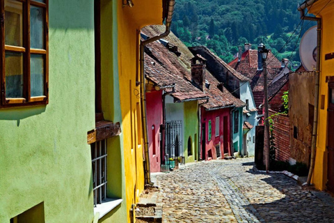 Brașov: Transylvania Day Trip with Guide and Snacks