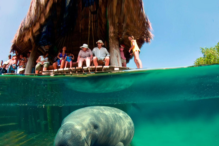 From Cancun: Xel-Há All-Inclusive Park All-Inclusive Xel-Há Park Admission with Transportation