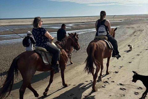 From Huatulco: Beach Horseback Riding Experience Regular Beach Horseback Riding Tour (2 hours)