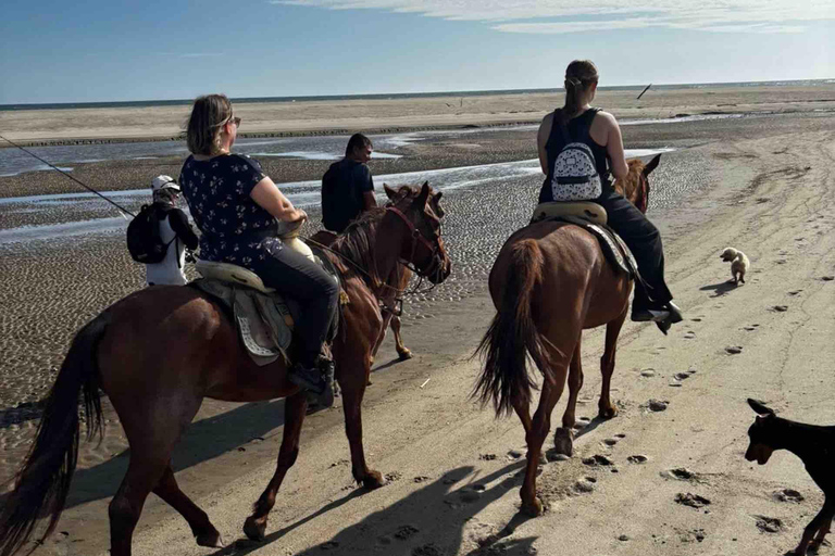 From Huatulco: Beach Horseback Riding Experience Regular Beach Horseback Riding Tour (2 hours)