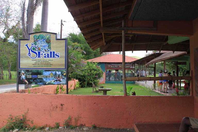 Excursión Privada por el Paseo Fluvial de las Cataratas del YsDesde Negril