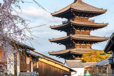 Maizuru: Shore Excursion for Cruise Guests（Private/Group） Litinerary A: Kyoto City Tour(small group)