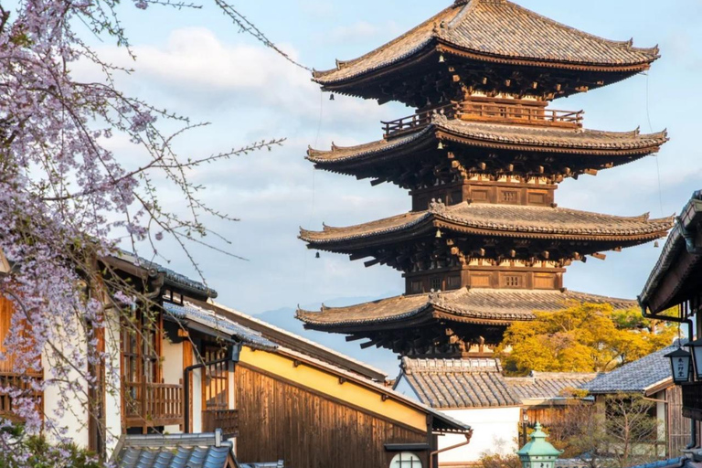 Maizuru: Shore Excursion for Cruise Guests（Private/Group） Litinerary A: Kyoto City Tour(small group)