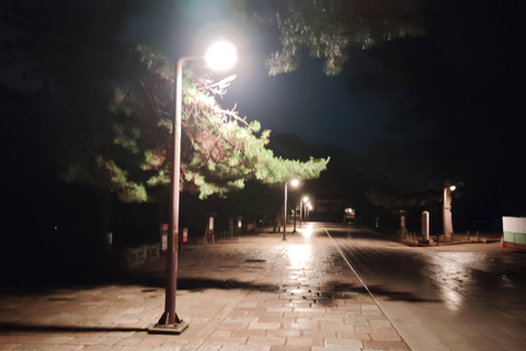 Nara: descubre la belleza atemporal en un tranquilo paseo nocturno.Nara: descubre la belleza atemporal en un tranquilo paseo nocturno