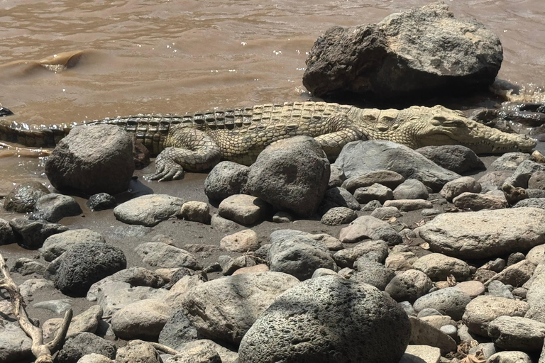Addis Ababa: Awash National Park 2-Day Safari & Volcano Hike