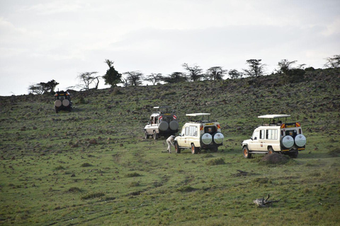 Tsavo Amboseli & Tsavo Expedition Safari Tour