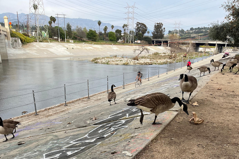 Unique tour of LA River to Griffith Parks Old abandoned Zoo LA River & Griffith Park & Abandoned Zoo Guided walking Tour