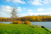 Katowice, Express Walk con un locale in 60 minuti - Hizvo