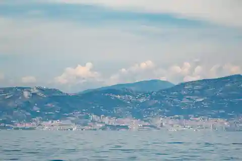 Monaco : Cetacean Watching Boat Cruise